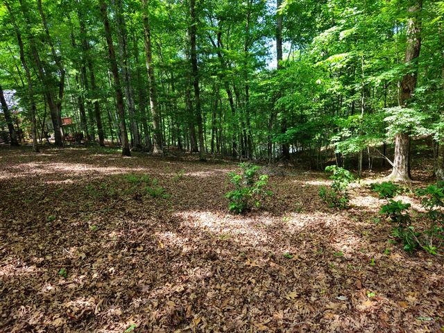211 Winding Brook Trail, Morganton, GA 30560