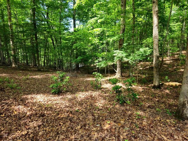 211 Winding Brook Trail, Morganton, GA 30560
