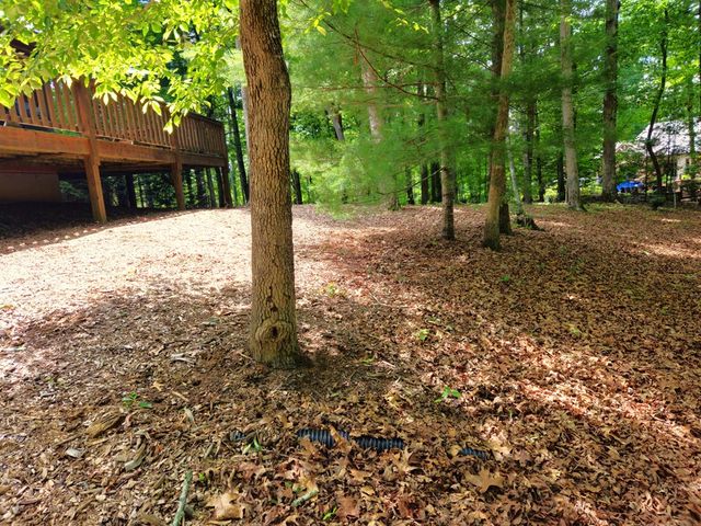 211 Winding Brook Trail, Morganton, GA 30560