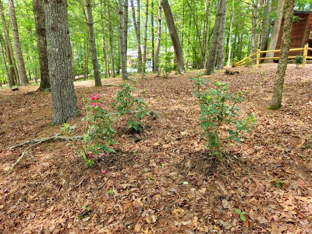 211 Winding Brook Trail, Morganton, GA 30560