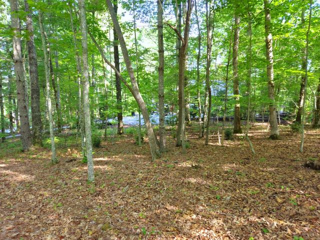 211 Winding Brook Trail, Morganton, GA 30560