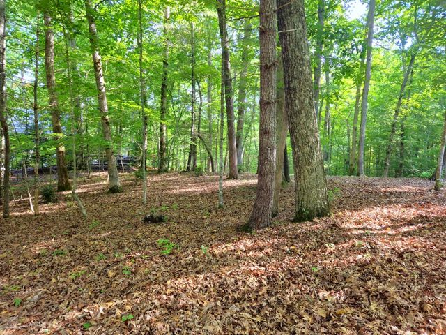 211 Winding Brook Trail, Morganton, GA 30560