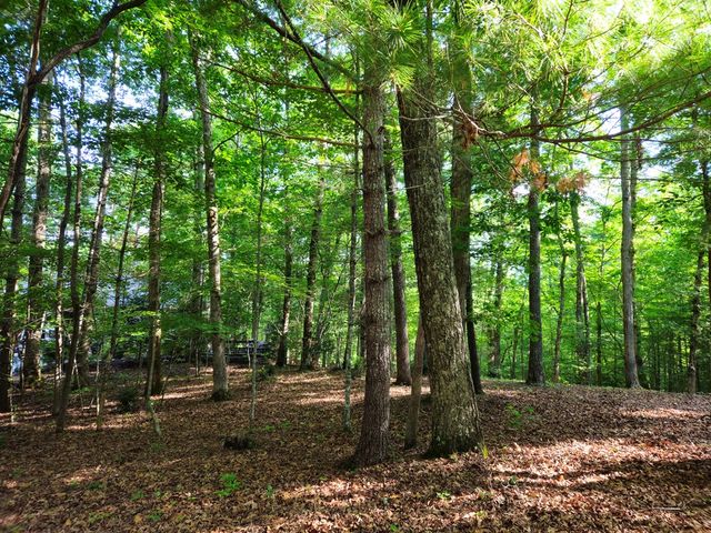 211 Winding Brook Trail, Morganton, GA 30560