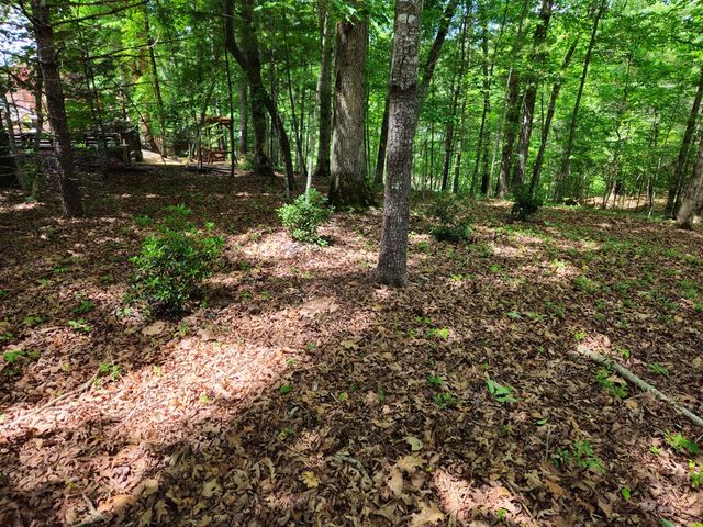 211 Winding Brook Trail, Morganton, GA 30560
