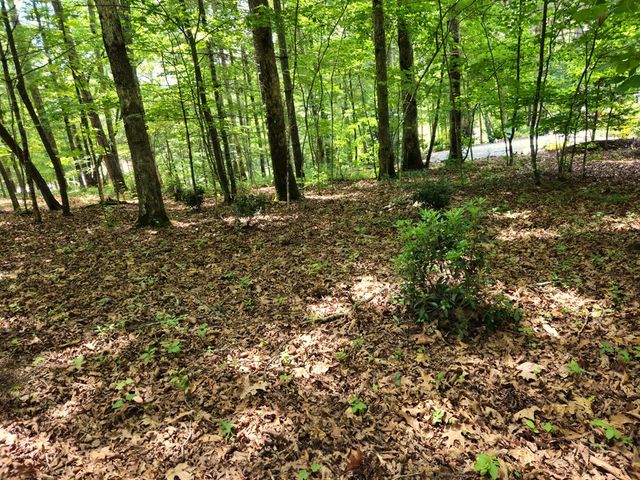 211 Winding Brook Trail, Morganton, GA 30560
