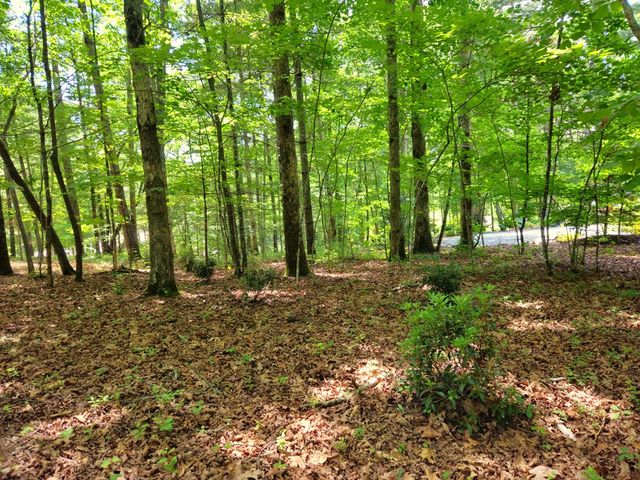 211 Winding Brook Trail, Morganton, GA 30560