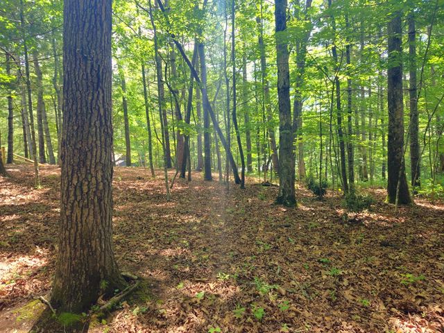 211 Winding Brook Trail, Morganton, GA 30560