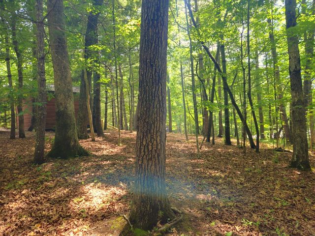 211 Winding Brook Trail, Morganton, GA 30560