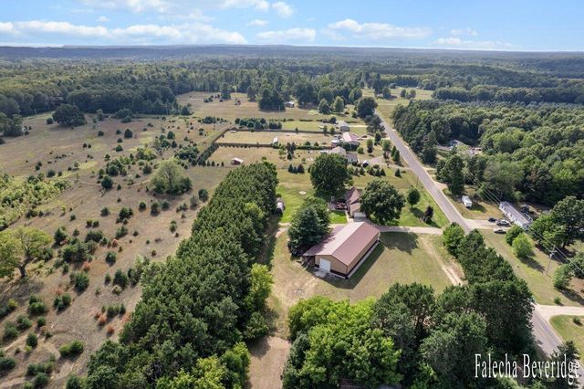 20111 W Church Road, Reynolds Twp, MI 49329