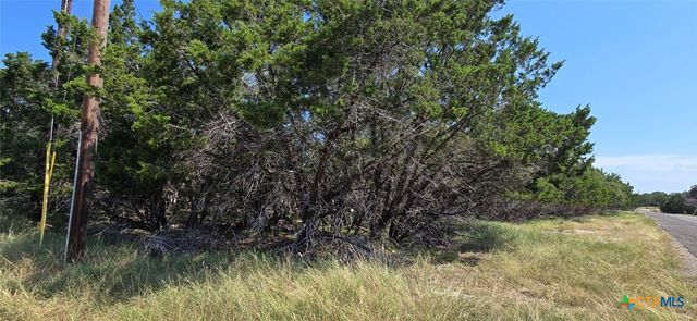 15801 Loveta Lane Court, Temple, TX 76502