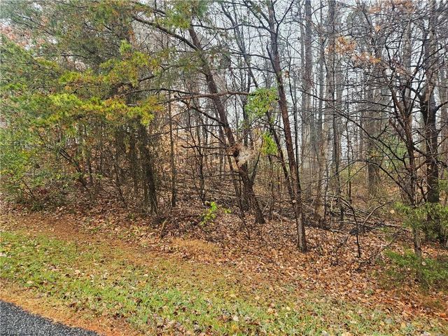 2145 Jefferson Oaks Drive, Rural Hall, NC 27045