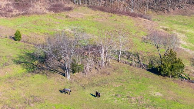 4701 Reed Rd, Thompsons Station, TN 37179