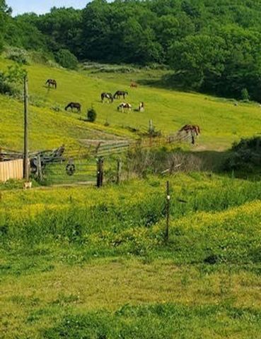 4701 Reed Rd, Thompsons Station, TN 37179