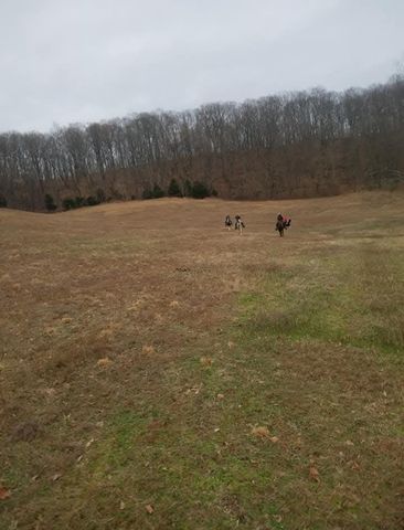 4701 Reed Rd, Thompsons Station, TN 37179