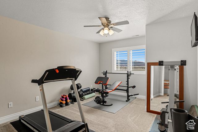 351 W SKYLINE DR, Loa, UT 84747