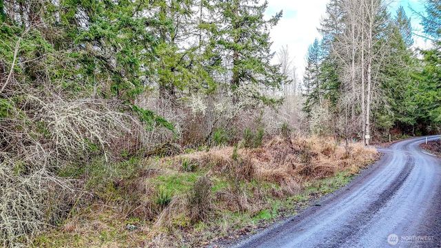 39838 Mountain Park Drive E, Roy, WA 98580