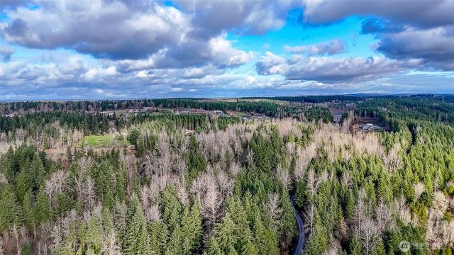39838 Mountain Park Drive E, Roy, WA 98580