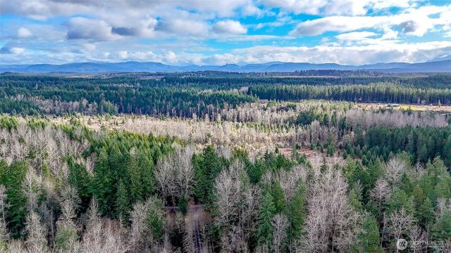 39838 Mountain Park Drive E, Roy, WA 98580