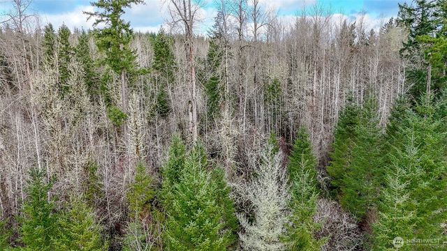 39838 Mountain Park Drive E, Roy, WA 98580