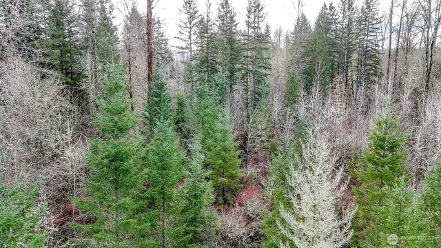 39838 Mountain Park Drive E, Roy, WA 98580