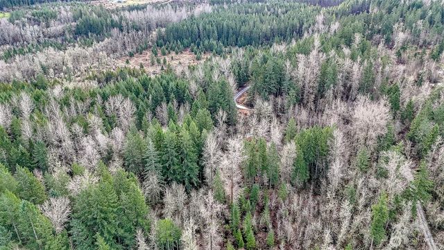 39838 Mountain Park Drive E, Roy, WA 98580