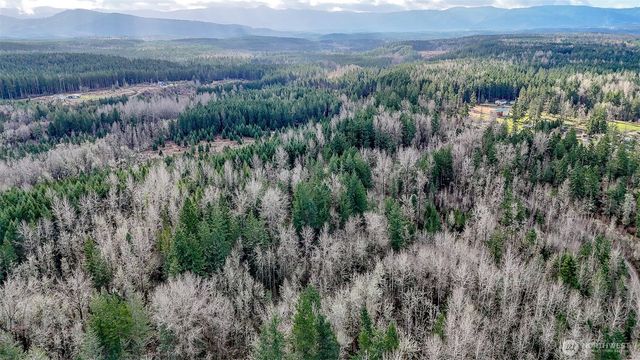 39838 Mountain Park Drive E, Roy, WA 98580