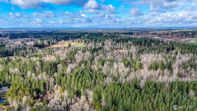 39838 Mountain Park Drive E, Roy, WA 98580