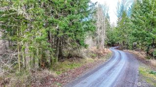 39838 Mountain Park Drive E, Roy, WA 98580