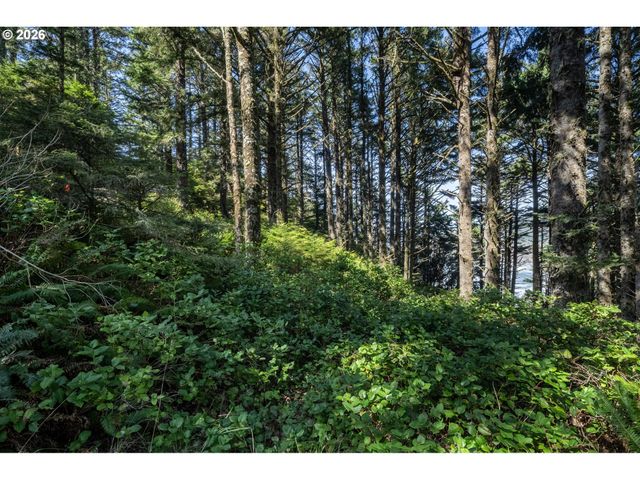 2430 CAPE MEARES Loop, Oceanside, OR 97134