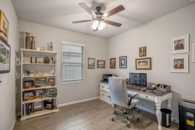 30391 Limber Pines Drive, Magnolia, TX 77355