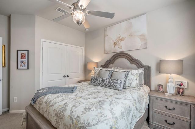 30391 Limber Pines Drive, Magnolia, TX 77355