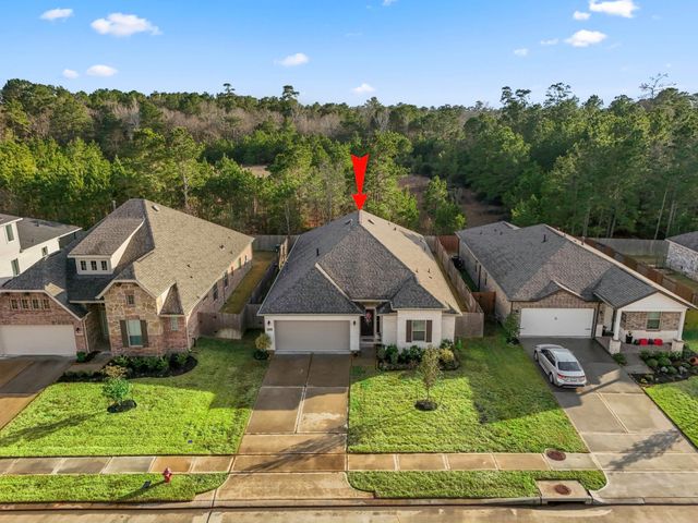 30391 Limber Pines Drive, Magnolia, TX 77355