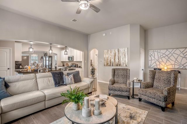 30391 Limber Pines Drive, Magnolia, TX 77355