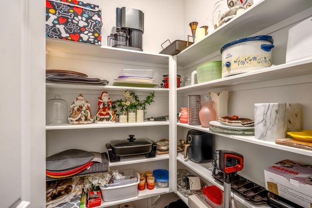 30391 Limber Pines Drive, Magnolia, TX 77355