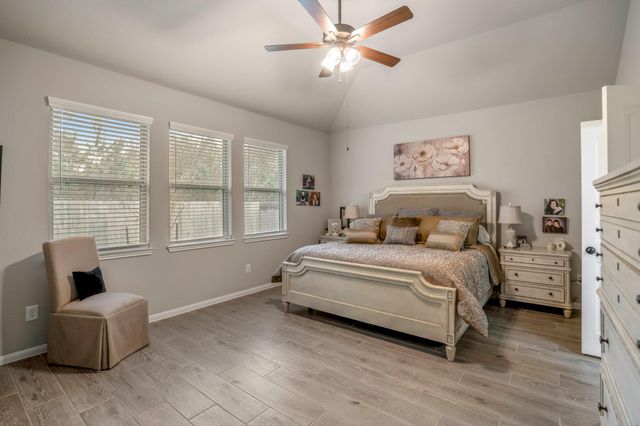 30391 Limber Pines Drive, Magnolia, TX 77355