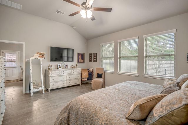 30391 Limber Pines Drive, Magnolia, TX 77355