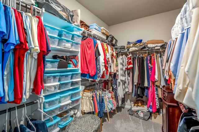 30391 Limber Pines Drive, Magnolia, TX 77355