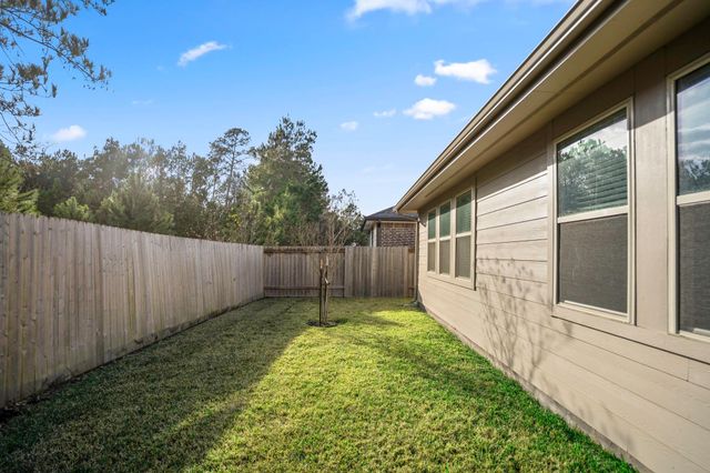 30391 Limber Pines Drive, Magnolia, TX 77355