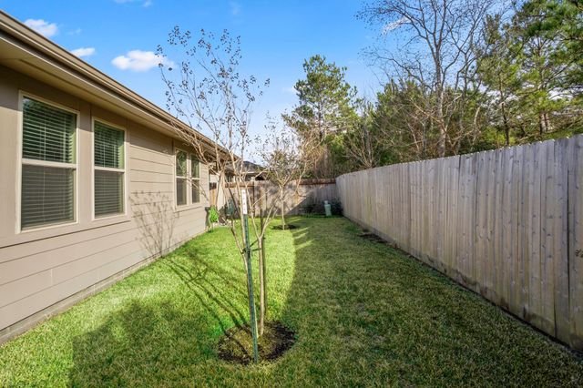 30391 Limber Pines Drive, Magnolia, TX 77355