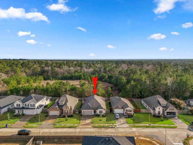 30391 Limber Pines Drive, Magnolia, TX 77355
