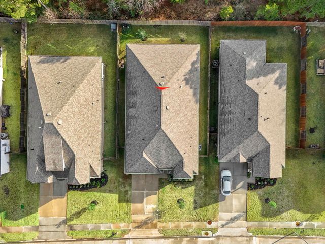 30391 Limber Pines Drive, Magnolia, TX 77355