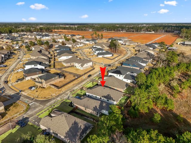 30391 Limber Pines Drive, Magnolia, TX 77355