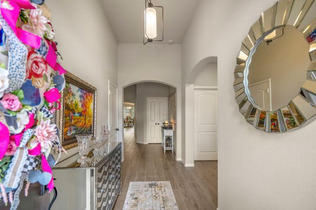 30391 Limber Pines Drive, Magnolia, TX 77355