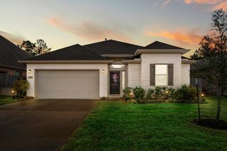 30391 Limber Pines Drive, Magnolia, TX 77355