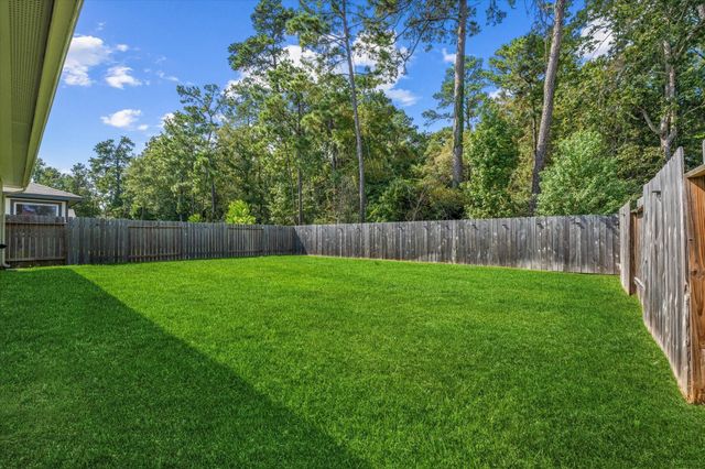 10426 Plateau Point Trail, Conroe, TX 77384
