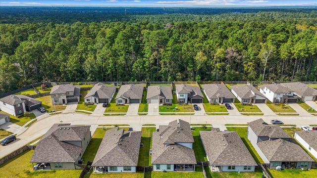 10426 Plateau Point Trail, Conroe, TX 77384