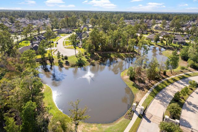 10426 Plateau Point Trail, Conroe, TX 77384