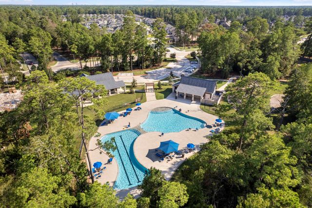 10426 Plateau Point Trail, Conroe, TX 77384