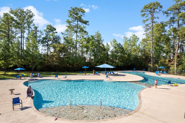 10426 Plateau Point Trail, Conroe, TX 77384