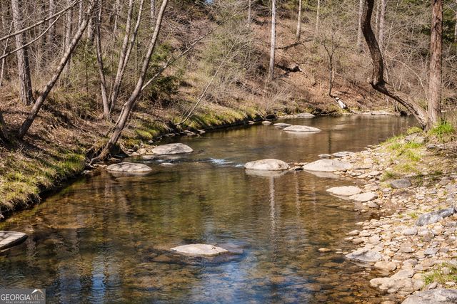 2308 Carver Mill Road, Talking Rock, GA 30175